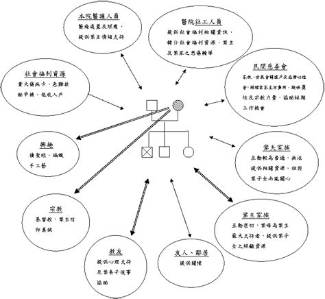 家庭生態圖是什麼|生態圖